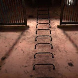 Laqueus Escape: Chapter Iv