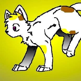 Create A Warrior Cat