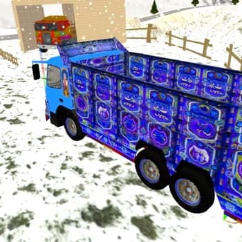 Indian Cargo Truck Driver