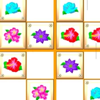 Flower Sudoku