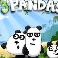 3 Pandas