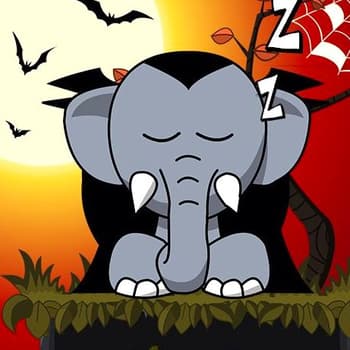 Snoring Elephant Puzzle Transilvania