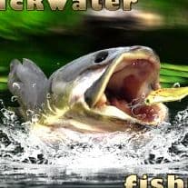 Backwater Fishing