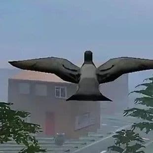 Fly Like A Bird 3