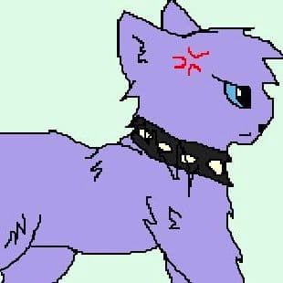 Create A Warrior Cat 2