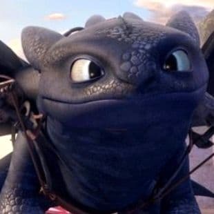 How To Train Your Dragon: Hiccup