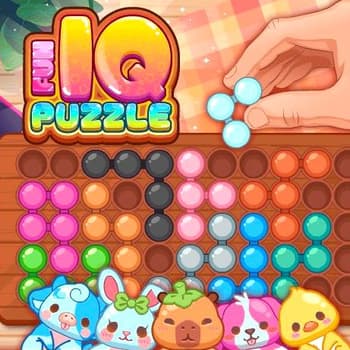 Fun Iq Puzzle
