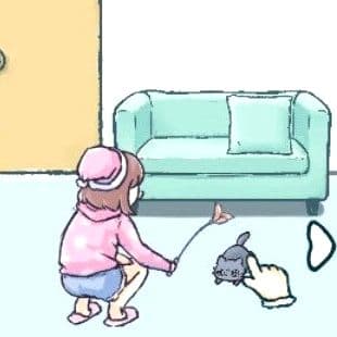 Find Cat