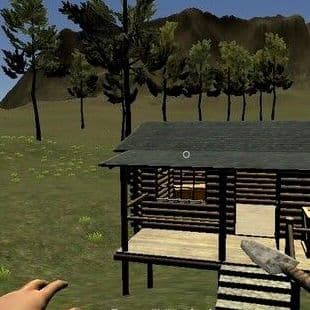 The Island Survival