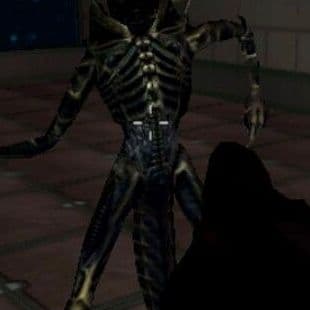 Portal Of Doom: Undead Rising