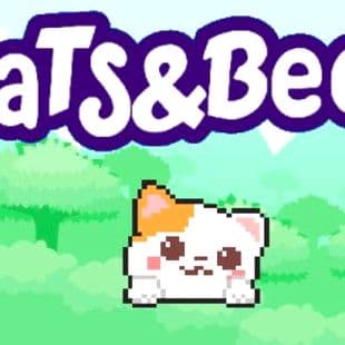 Cats And Bees