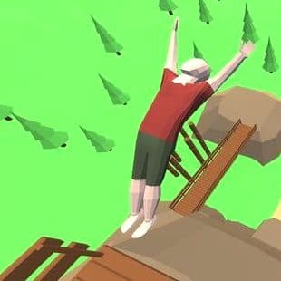 Crazy Flips 3D