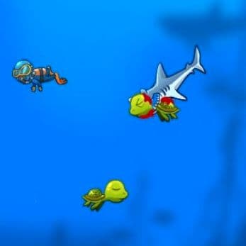 Shark Attack