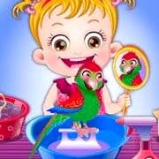 Baby Hazel Parrot Care