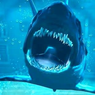 Megalodon