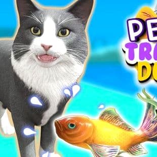 Pet Trainer Duel