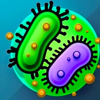 Bacteria