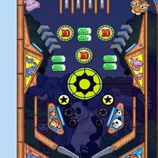 Zoo Pinball