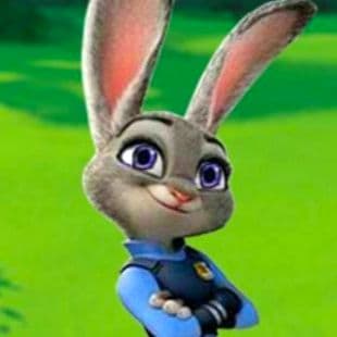 Zootopia Judy Doctor