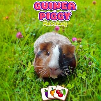 Guinea Piggy Matching