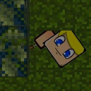 Mine-Craft Io