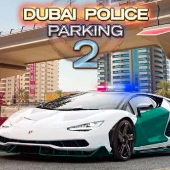 Dubai Police Parking 2