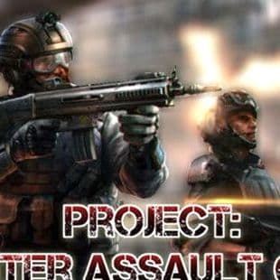 Project: Counter Assault Online
