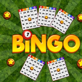 Bingo Revealer