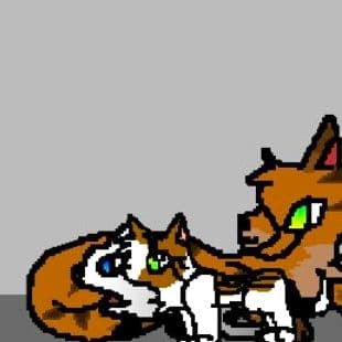 Warrior Cats Adventures