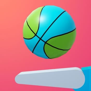 Flipper Dunk 3D