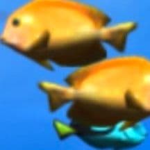 Sea Fishes 2