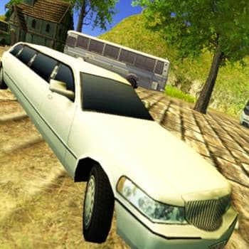 Limousine Driver