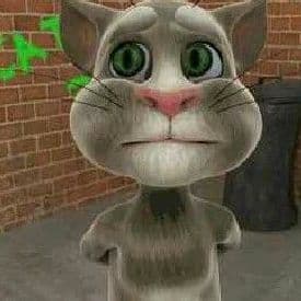 Talking Cat