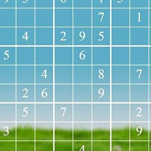 Libelle Sudoku