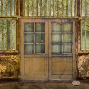 Abandoned Forest House