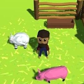 Mini Farm