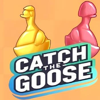 Catch The Goose