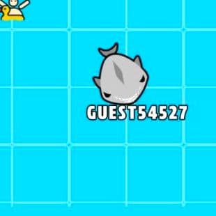 Sharkattack Io