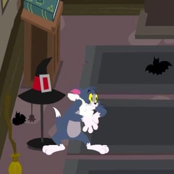 Cat'S Gone Bats