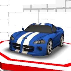 Wild Race