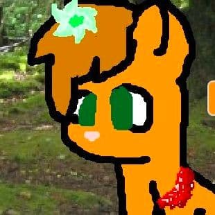 Warrior Cats Character Creator