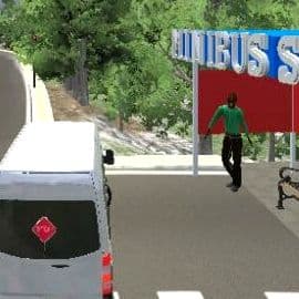 City Minibus Driver