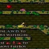 Fireboy And Watergirl In The Forest Temple