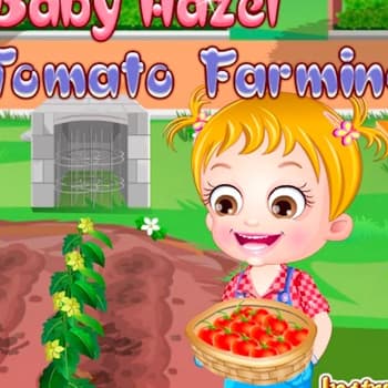 Baby Hazel Tomato Farming