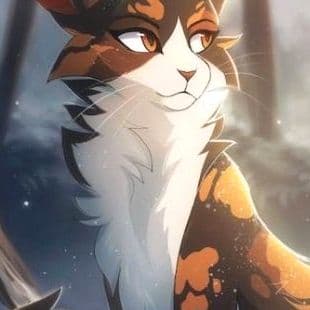 Warrior Cats Puzzle 2