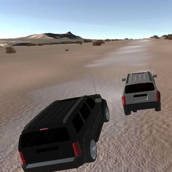 Desert Rasing