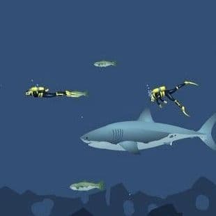Mad Shark 1