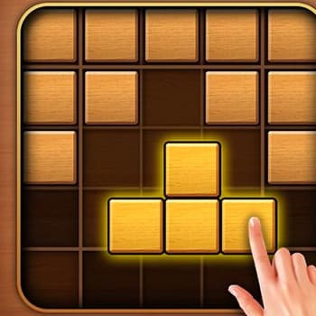 Puzzle Wood Block