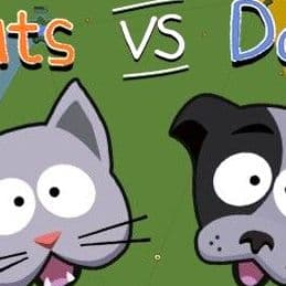 Fleabag Vs. Mutt
