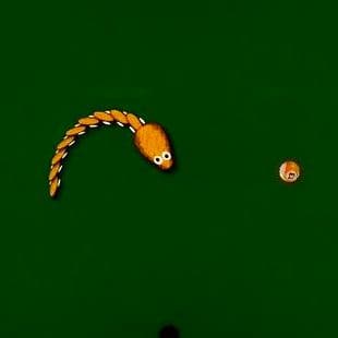 Billiard Snake